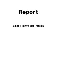 특수효과에 대하여