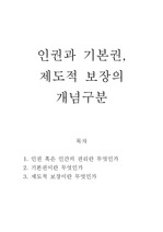 인권과 기본권, 제도적 보장