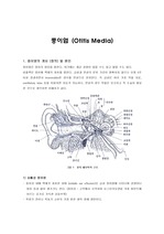 중이염의 원인과 증상 및 치료