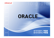 ORACLE The ERP Company(in eng)