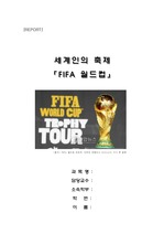FIFA 월드컵, 세계인의 축제