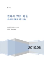 대미환율 분석 2000-2010
