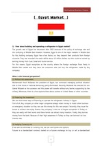 이집트 마켓 분석(영문)