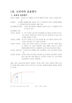 소비자 투자의 결정