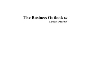Business Outlook for Cobalt Market 2007
