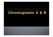 (Chromogramin)크로모그라닌에 관한 연구