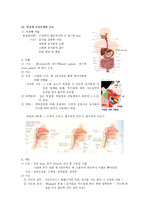 위장계 해부생리, 소화기계 해부생리