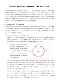 [분자생물학]Cloning Vectors for Organisms Other than E. coli