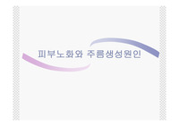 피부노화와 주름생성원인