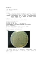 Bacterial Transformation(형질전환) report