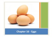 달걀(eggs)