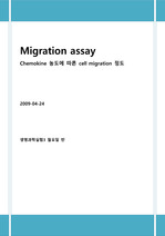 migration assay 실험 보고서