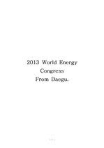 2013년 세계에너지총회를 위한 계획서 (레포트)(A+)