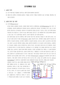 [일반화학실험]전기분해와 도금