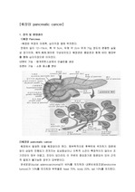 췌장암 문헌고찰