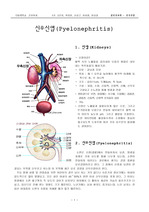 성인간호학 신우신염 요약 정리