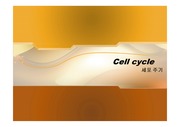 cell cycle 세포주기와 세포주기 관련 인자 단백질 설명