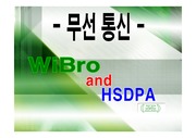 Wibro(와이브로)와 HSDPA에 관한 발표자료