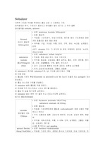 nebulizer간호