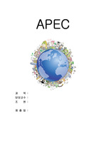 APEC에 대한 보고서