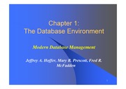 database management environment