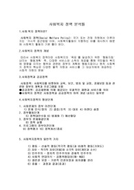 사회복지 정책 분석틀