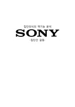 집단의식의 역기능 분석 - SONY