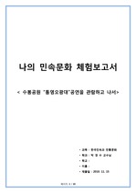 한국민속과 전통문화 - 민속문화 체험 Report < 통영오광대>