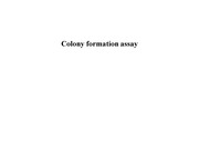 Colony formation assay