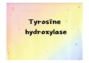 Tyrosine hydroxylase에 대해서