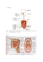 소화기계 해부생리, 건강사정
