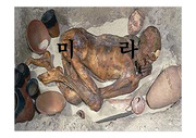 미라의 조사