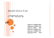 골프카 사업타당성 분석