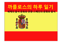 스페인의 음식문화와 관광PPT