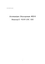Acremonium Chrysogenum 배양과 Bioassay를 이용한 CPC 정량