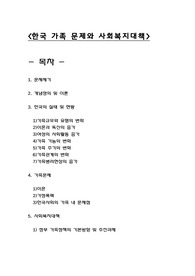 한국 가족 문제와 사회복지대책