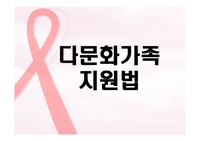다문화가족지원법의 내용,문제점,개선방안