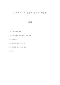 사회복지사의 전문적 능력과 책임성