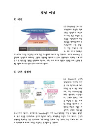 LG디스플레이 경영 및 회사 분석
