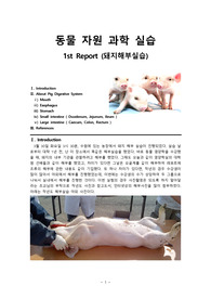 [동물자원과학실습 영양학실][서울대] 돼지해부실습
