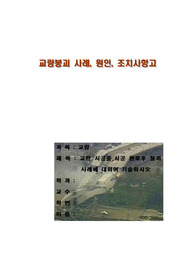 [리포트 A+]교량 시공중,시공 완료후 붕괴사례에 대하여 기술하시오