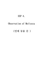Observation of Mollusca