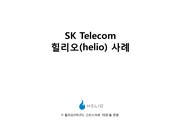 SK telecom기업경영,마케팅