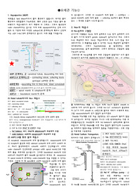 요세관기능