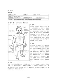 가와사키병 케이스