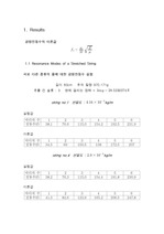 09.6.2 물리실험(sonometer)