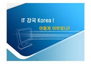 한국의 IT산업