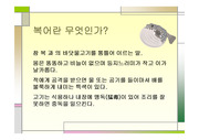 복어의 종류 및 역사, 성분, 요리