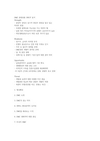비무장지대 DMZ  SWOT분석