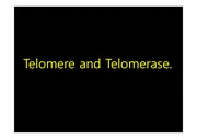 텔로미어